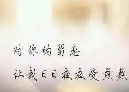 情深难舍难分，真爱放不下离不开；想你了，想念时眼泪是心上的痛