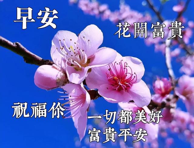 早安祝福语录精选，适合发朋友圈的温馨祝愿