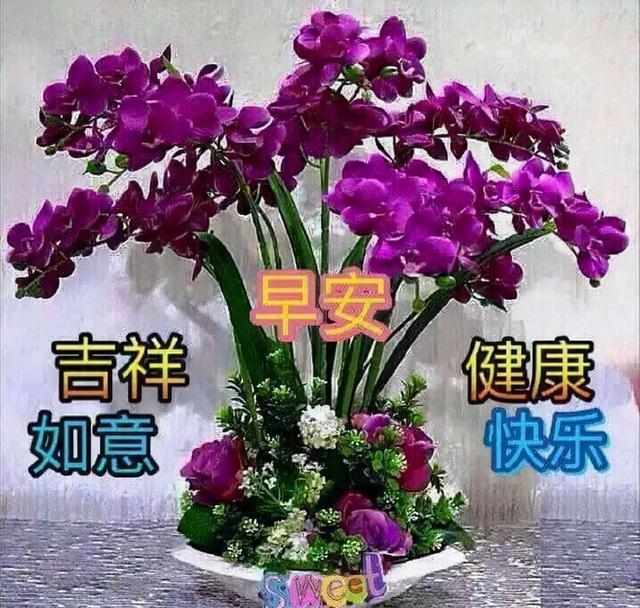 早安祝福语录精选，适合发朋友圈的温馨祝愿