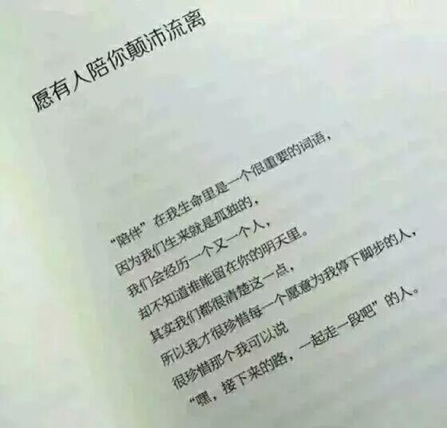 《愿有人陪你颠沛流离》经典语录