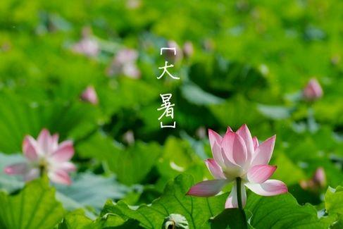 「诗词鉴赏」写在大暑天的古诗词 读之可退暑气