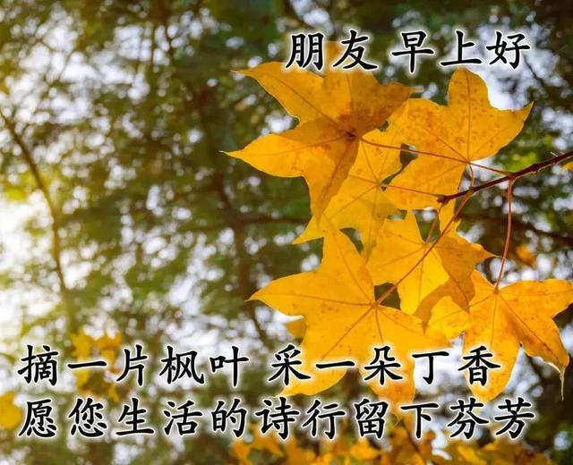 让温馨的问候与祝福伴你左右，祝福每一天，我的世界，早安