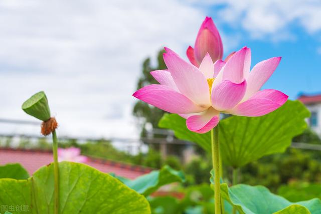 治愈系朋友圈文案，送给努力拼搏的自己