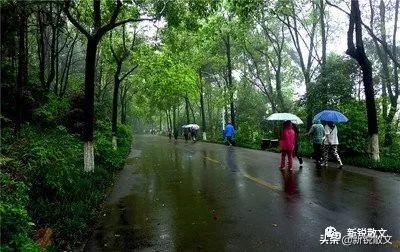 下雨天堵车悟出来的人生哲理：慢下来，享受静时光