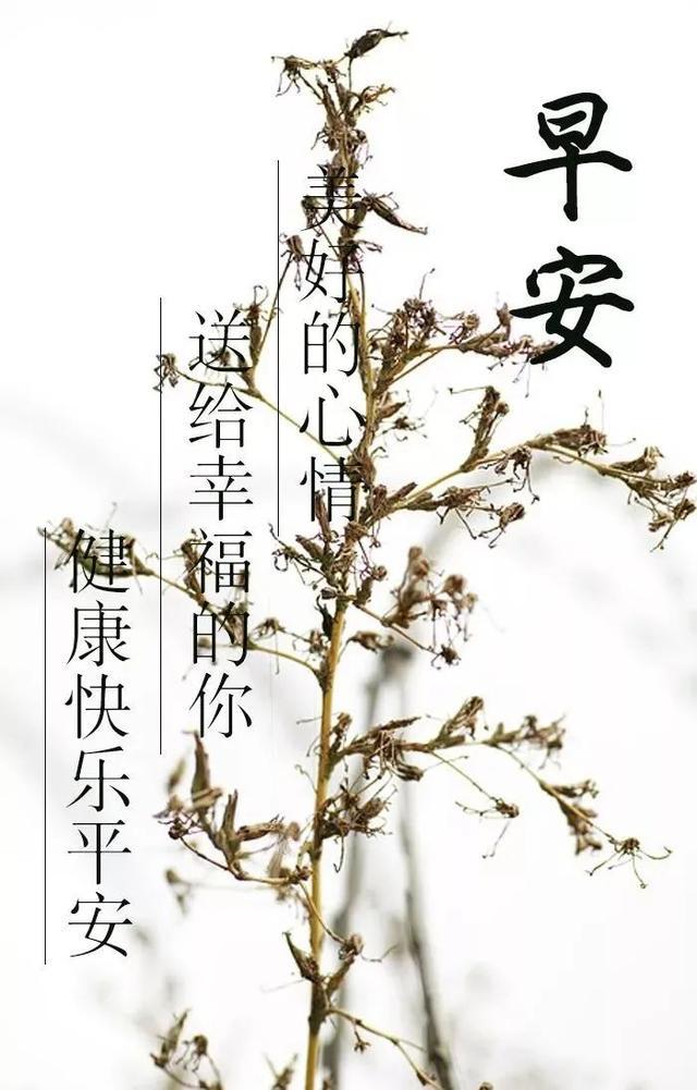 祝福语录精选，朋友圈温馨祝福问候