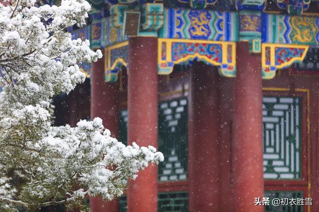 腊雪迎春美诗七首：送腊迎春一岁成，雪里迎春倍物华