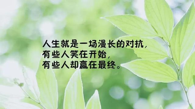 努力奋斗的励志句子，句句正能量，激发斗志