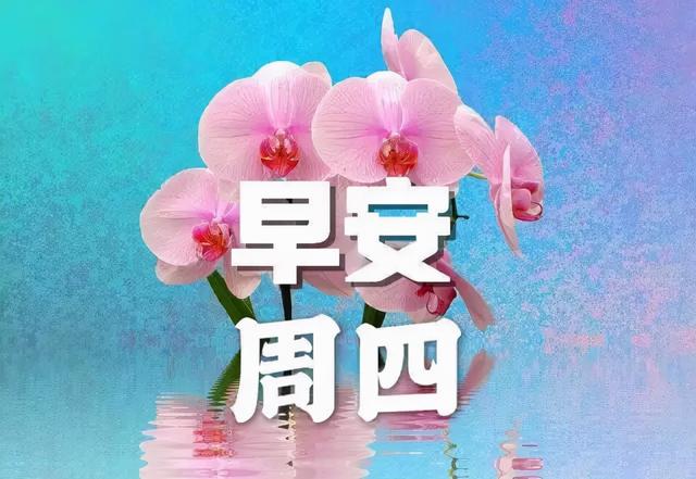 亲爱的，早上好，天虽冷冷，但祝福暖暖