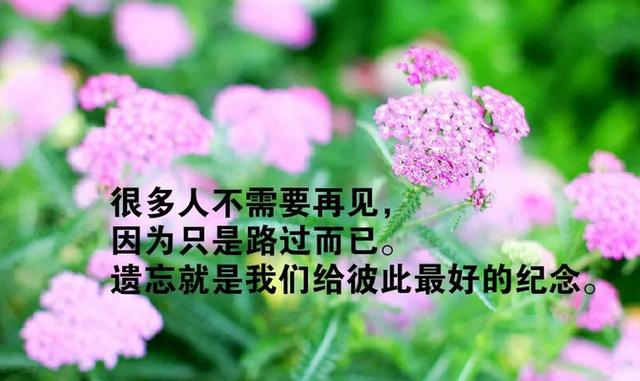 适合三月发朋友圈的经典句子文字图片，新鲜犀利，句句穿心！