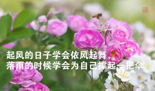 适合三月发朋友圈的经典句子文字图片，新鲜犀利，句句穿心！