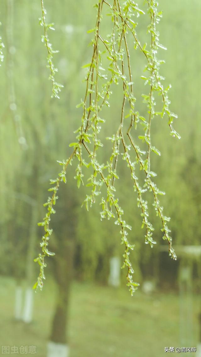 三月春暖花开踏青赏花说说