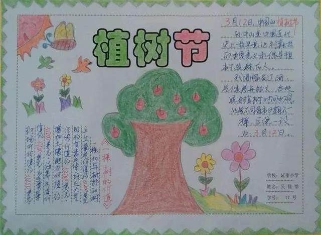 春天到了，植树节的手抄报~小学作文范文，孩子一定用得到！