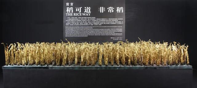 “稻可道，非常稻”：一畦铜稻载德载道