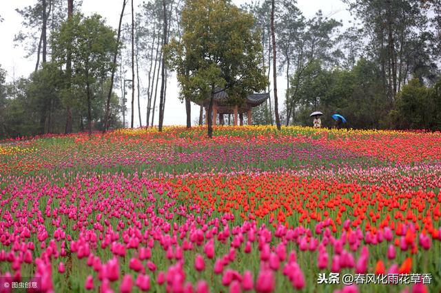 苏教版三年级语文下册“读读背背”中的词语释义及造句