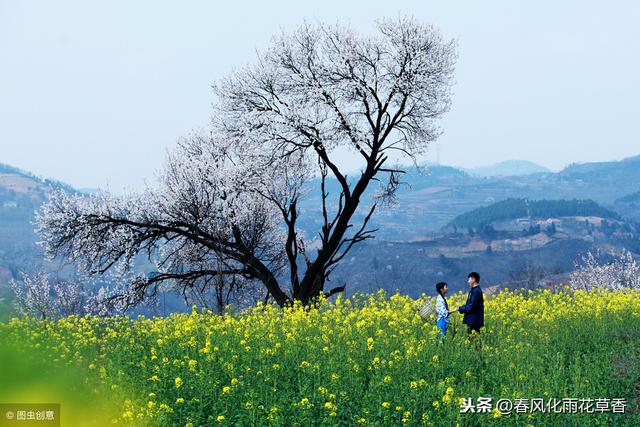 苏教版三年级语文下册“读读背背”中的词语释义及造句