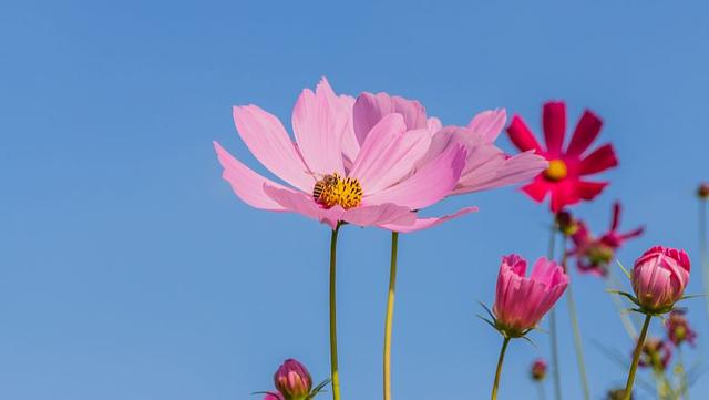 积极阳光的朋友圈唯美句子，满满正能量，夏日的午后送给自己