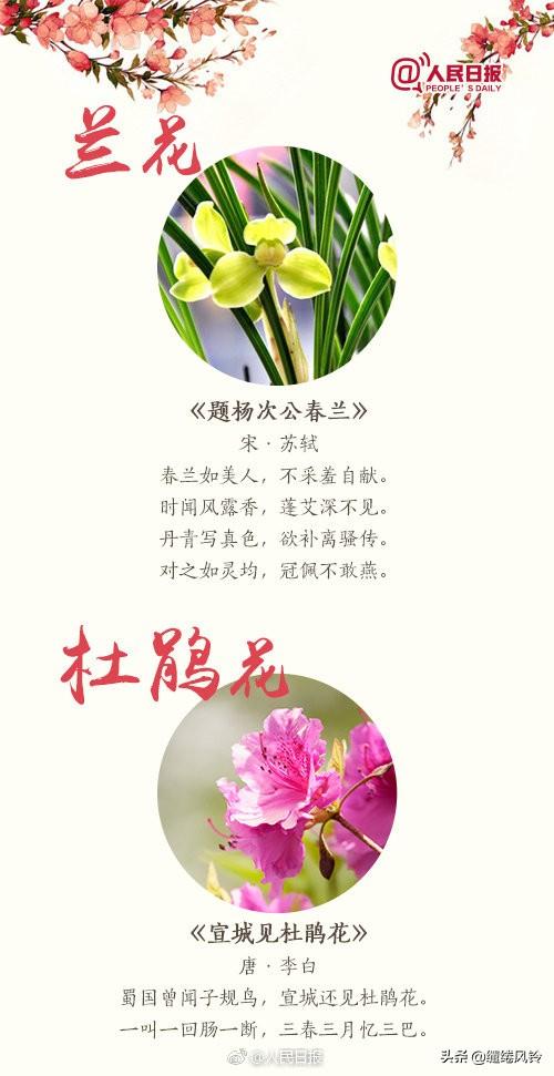 《人民日报》精选18首鲜花古诗：相约家人朋友，一起踏青赏花吧！