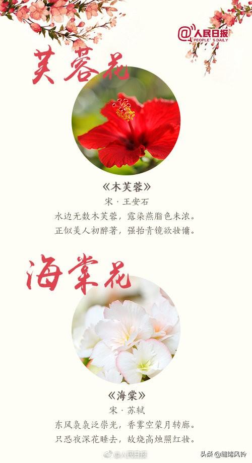 《人民日报》精选18首鲜花古诗：相约家人朋友，一起踏青赏花吧！