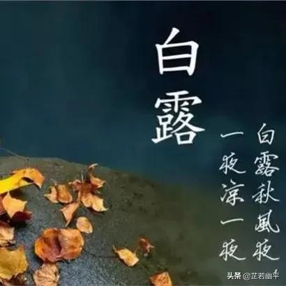 白露时节｜晴空一鹤排云上，便引诗情到碧霄