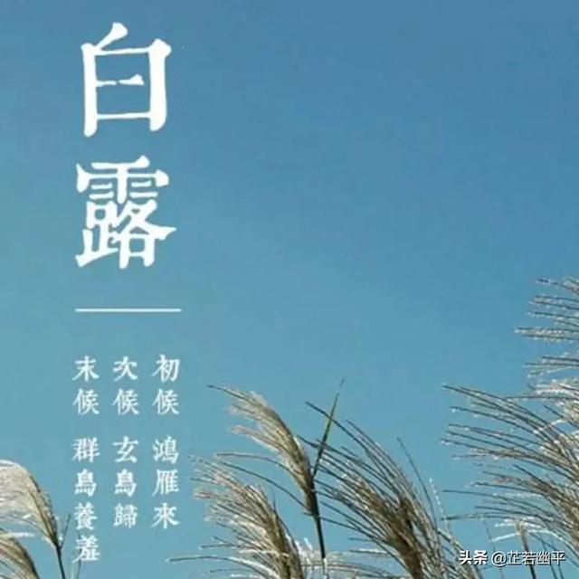 白露时节｜晴空一鹤排云上，便引诗情到碧霄