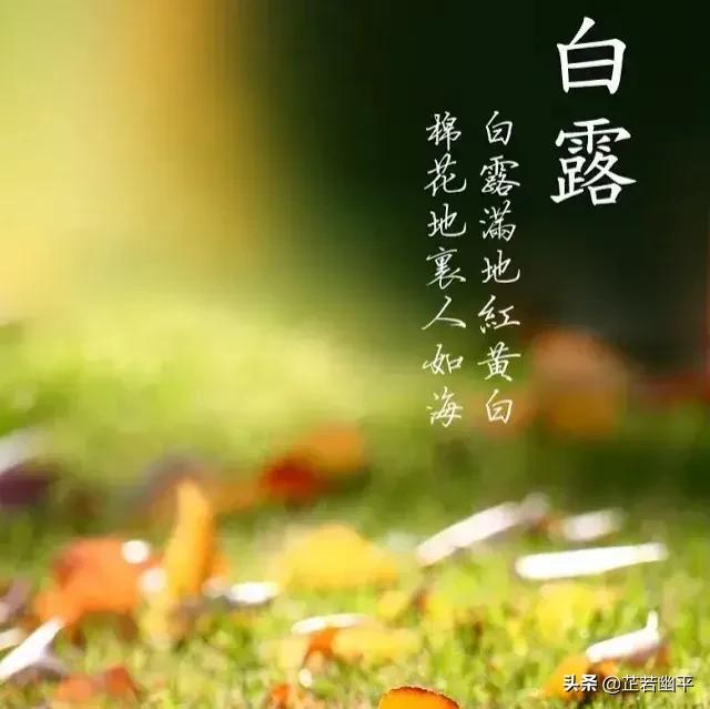 白露时节｜晴空一鹤排云上，便引诗情到碧霄