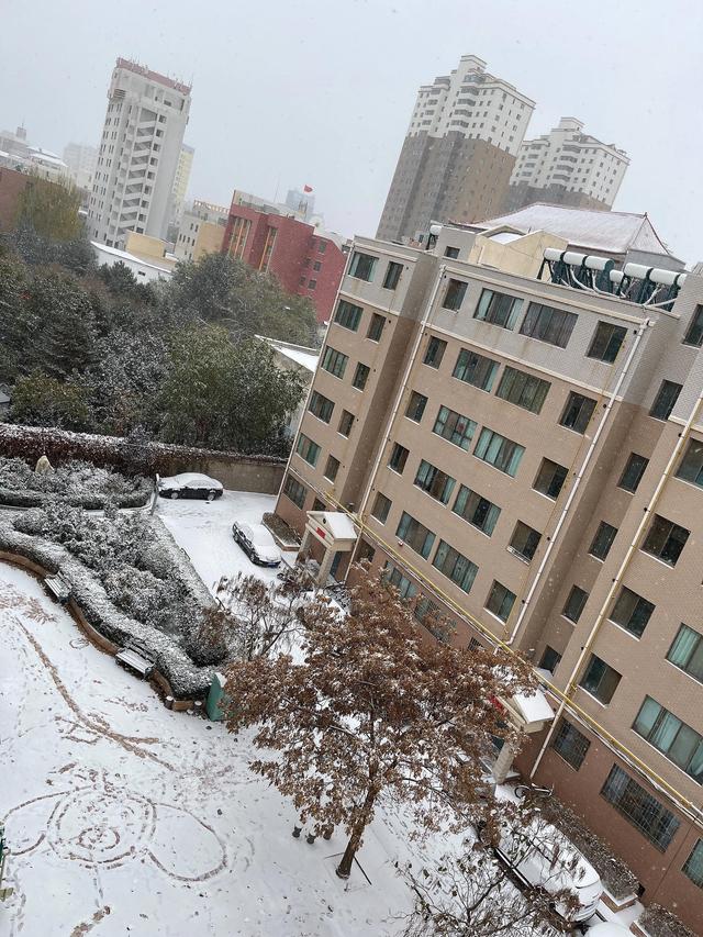 立冬寒气骤 雪落增冷寒 雪舞弄冰窗 万物覆雪白 荒芜枯败掩 元姆