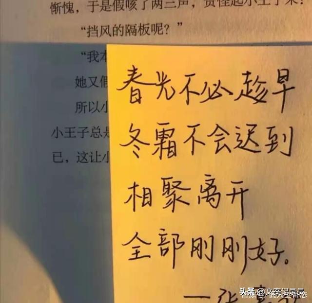 适合告别发的句子：我配不上你的来者不拒，你配不上我的浪漫赤诚