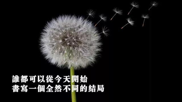 「2021.11.08」早安心语，正能量努力奋斗语录句子朋友圈说说图片