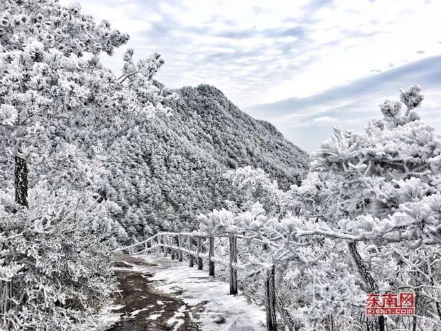 大雪图片最新大雪文案朋友圈说说 2020描写大雪节气唯美句子