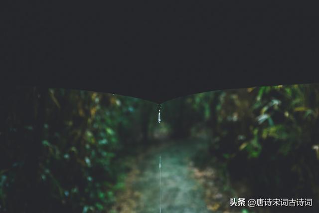 越读越有味的带“雨”古诗句