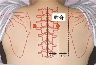 穴位按摩祛病全集，身体出什么问题按什么穴，一篇全搞定！快收藏