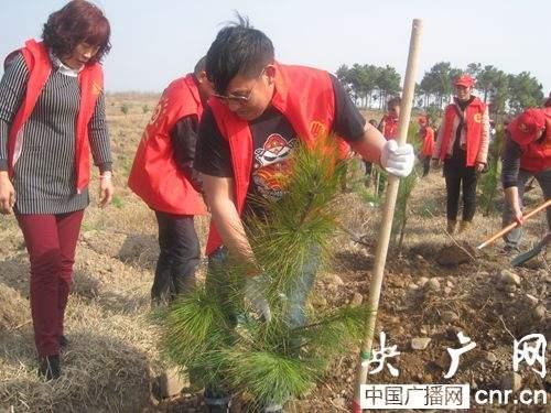 植树节名人名言警句座右铭 植树节诗句俗语及横幅标语