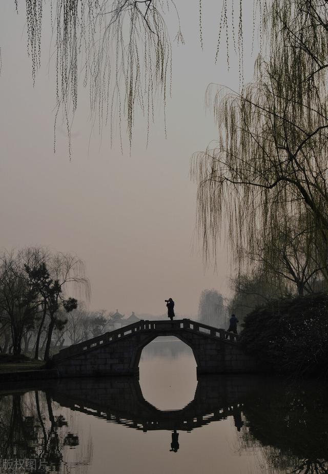 多地疫情突发，三月赏不了花？别慌，全国最美的春天都在这里了