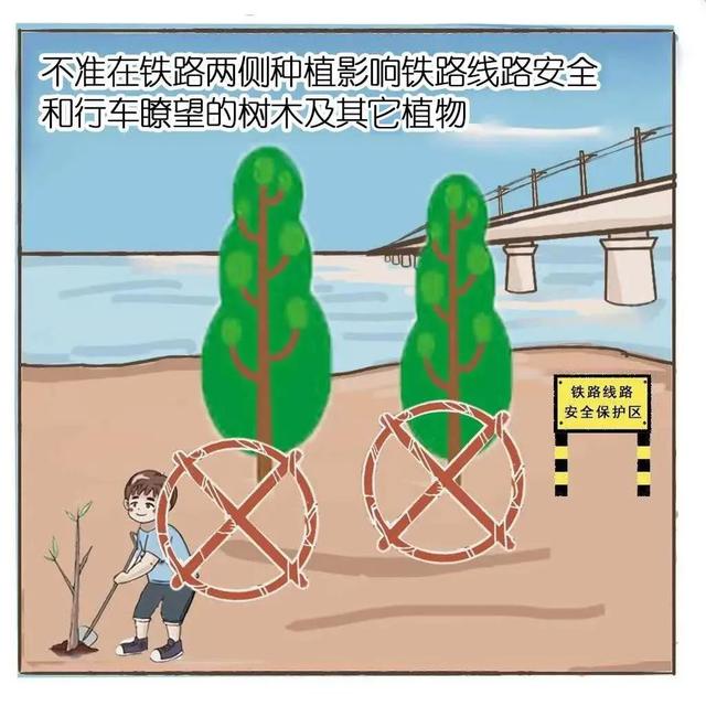 这些爱路护路常识要记牢