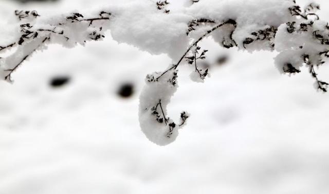 「原创诗词」管恩锋 | 若无瑞雪催春发 哪有千花焕彩颜（咏雪20首）