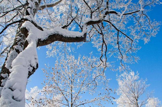 「原创诗词」管恩锋 | 若无瑞雪催春发 哪有千花焕彩颜（咏雪20首）