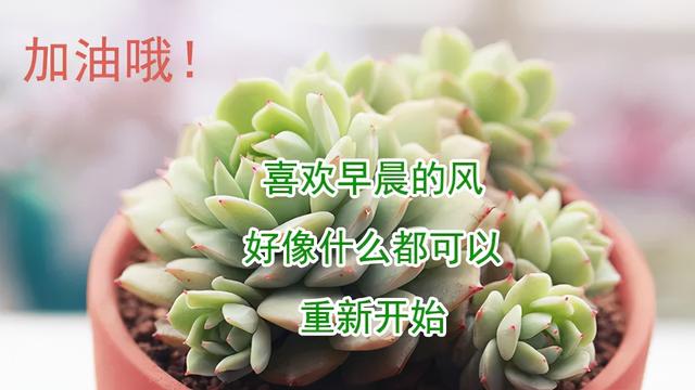 简短早安问候语精选，一句话早安心语！秋季早晨关心的问候语