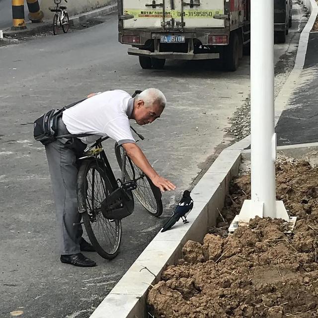 我活得太严肃，忘了对一朵花微笑