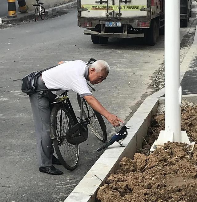 我活得太严肃，忘了对一朵花微笑