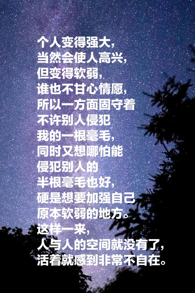 夏目漱石的《我是猫》，最经典的十段话，鲁迅评价