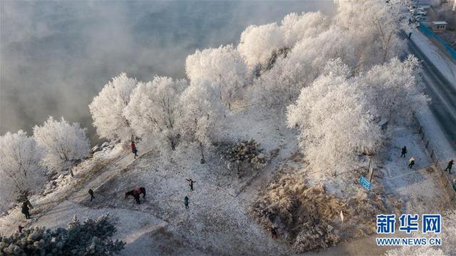 “雨凇”、“霜花”、“雾凇”，这些冬日自然气象用英语怎么说？