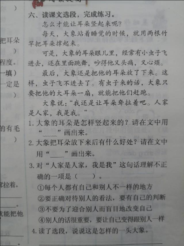 学不会？这样学19课《大象的耳朵》，没有学不会的