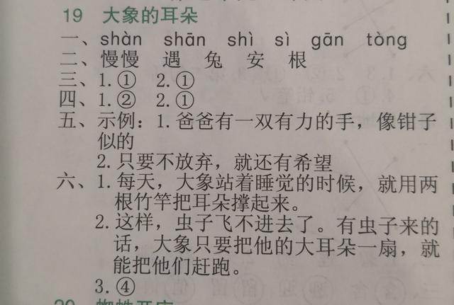 学不会？这样学19课《大象的耳朵》，没有学不会的