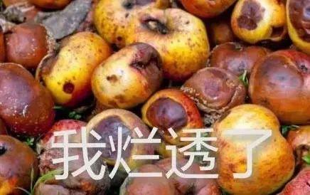 当代年轻人，把骚劲儿全用来给微信群聊起名字了？