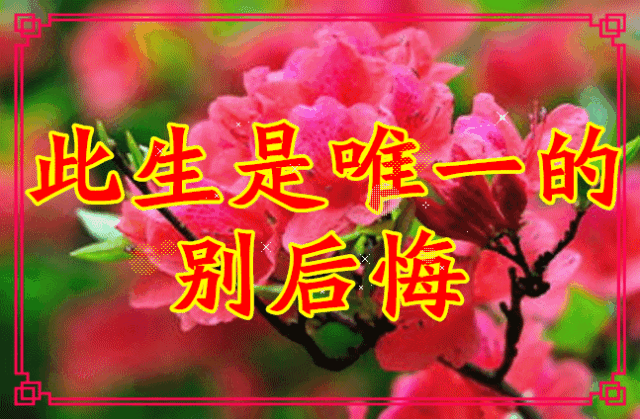 早安，祝我最好的朋友，周末快乐。放松身心，陪陪家人吧