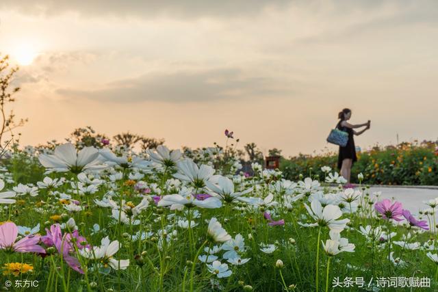 李清照的十首词，读过三首以上的，才是真的厉害