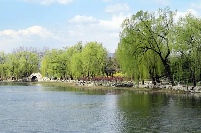 人民日报总结：100首春光诗词，一起感受春天里最美的风景