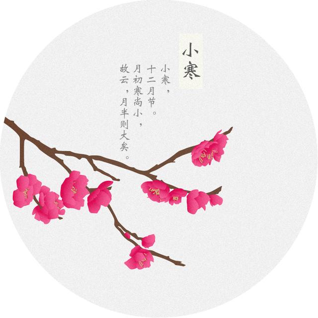 「诗词鉴赏」又是一年小寒日，小寒诗词你可知？