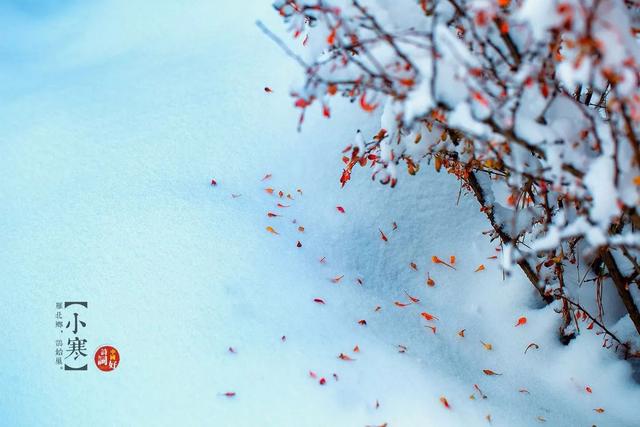 「诗词鉴赏」又是一年小寒日，小寒诗词你可知？