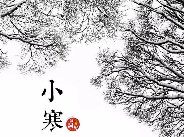 「诗词鉴赏」又是一年小寒日，小寒诗词你可知？